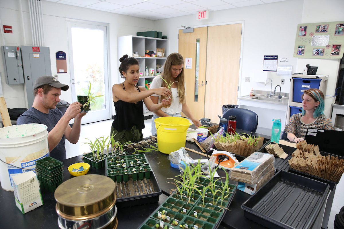 Students work in the UW-Stout greenhouse.