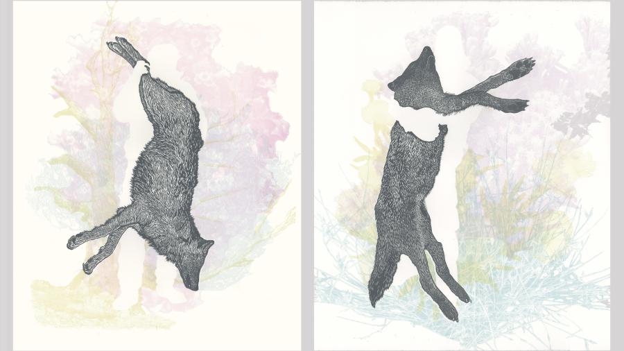 Print of 2 wolves