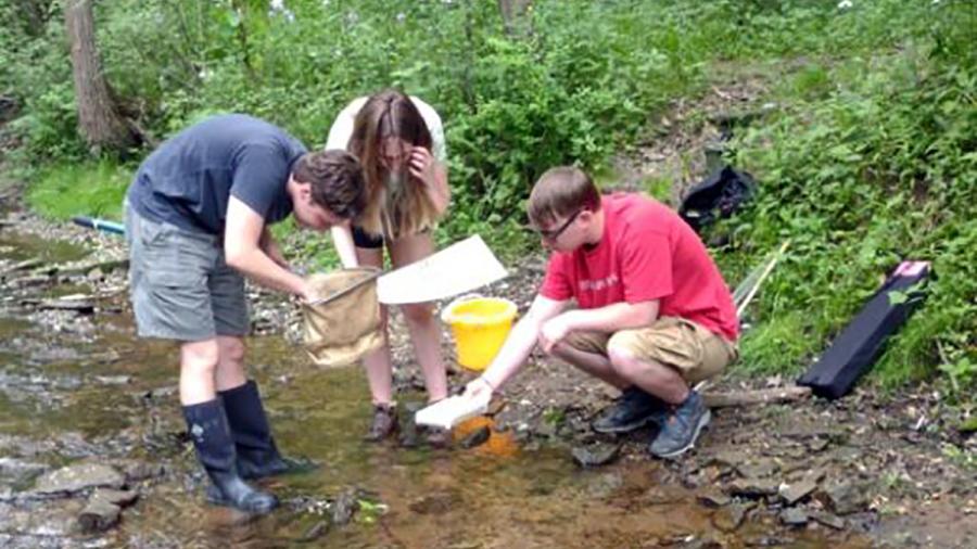 Students work in Galloway Creek as part of the watershed monitoring project.