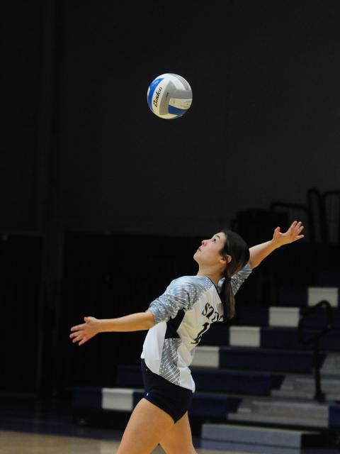 A UW-Stout volleyball player serves during a game last fall.